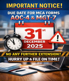 Nurturing a High-Performance Company Culture