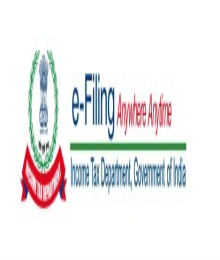 Nurturing a High-Performance Company Culture